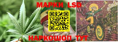 шишки Нальчик