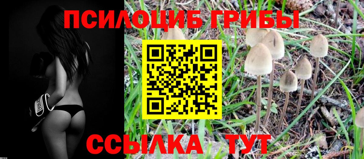 Галлюциногенные грибы мухоморы  Галлюциногенные грибы Magic Shrooms  Вход с VPN  Владимир 